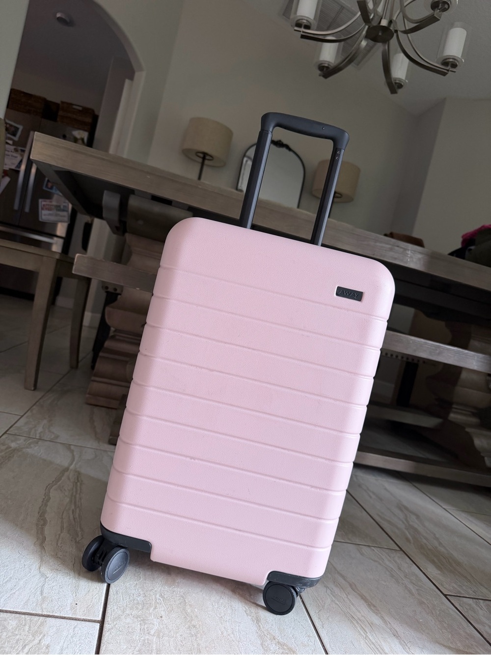 Away Carry-On Suitcase in Blush w/ Battery